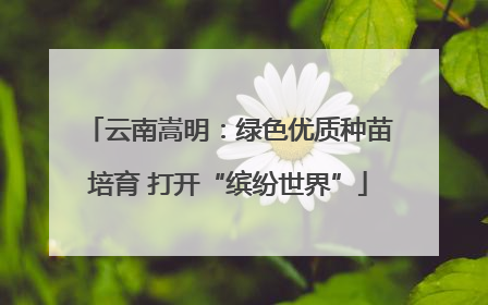 云南嵩明：绿色优质种苗培育 打开“缤纷世界”