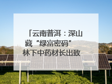 云南普洱：深山藏“绿富密码” 林下中药材长出致富新图景