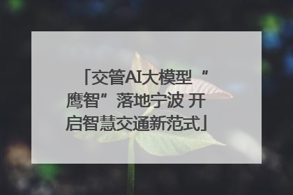 交管AI大模型“鹰智”落地宁波 开启智慧交通新范式