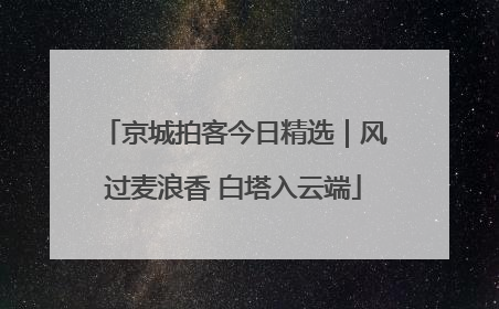 京城拍客今日精选｜风过麦浪香 白塔入云端