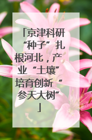 京津科研“种子”扎根河北，产业“土壤”培育创新“参天大树”