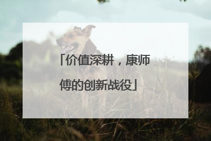 价值深耕，康师傅的创新战役