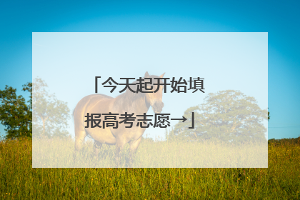 今天起开始填报高考志愿→