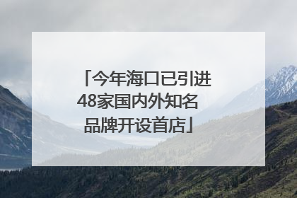 今年海口已引进48家国内外知名品牌开设首店