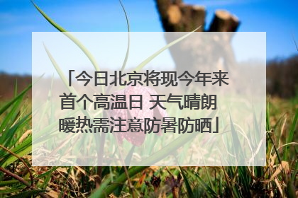 今日北京将现今年来首个高温日 天气晴朗暖热需注意防暑防晒