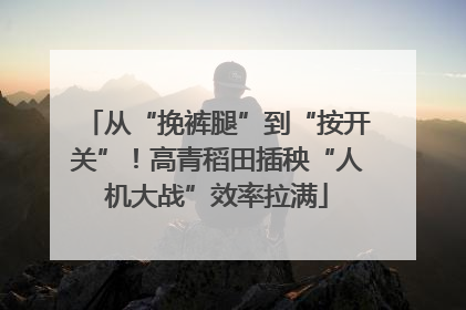 从“挽裤腿”到“按开关”！高青稻田插秧“人机大战”效率拉满