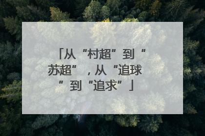 从“村超”到“苏超”，从“追球”到“追求”