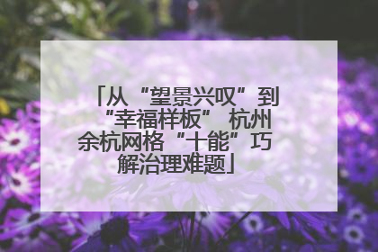 从“望景兴叹”到“幸福样板” 杭州余杭网格“十能”巧解治理难题