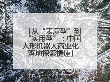 从“表演型”到“实用型”：中国人形机器人商业化落地探索提速