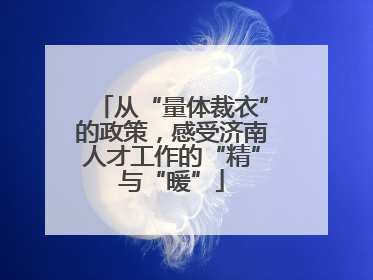 从“量体裁衣”的政策，感受济南人才工作的“精”与“暖”