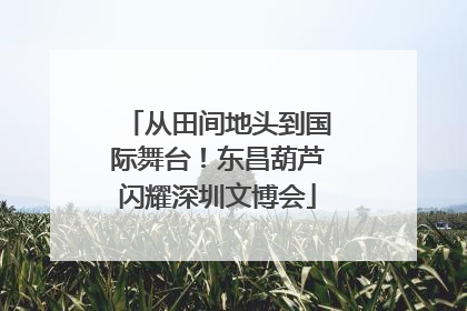 从田间地头到国际舞台！东昌葫芦闪耀深圳文博会