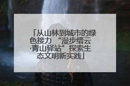 从山林到城市的绿色接力 “漫步缙云·青山驿站”探索生态文明新实践
