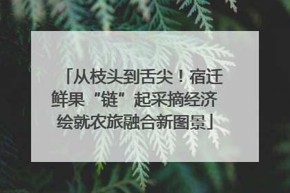 从枝头到舌尖！宿迁鲜果“链”起采摘经济绘就农旅融合新图景