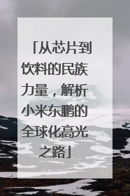 从芯片到饮料的民族力量，解析小米东鹏的全球化高光之路