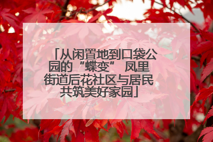 从闲置地到口袋公园的“蝶变” 凤里街道后花社区与居民共筑美好家园