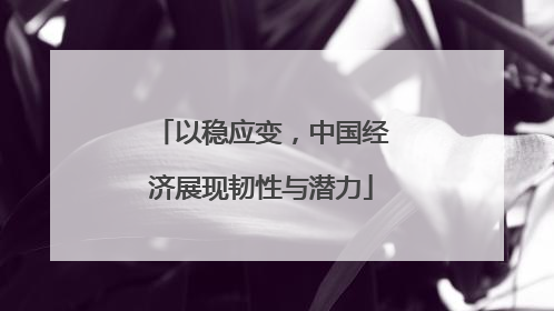 以稳应变，中国经济展现韧性与潜力