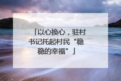 以心换心，驻村书记托起村民“稳稳的幸福”