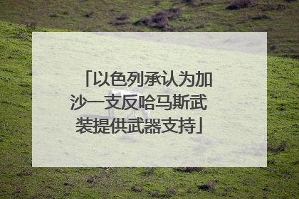 以色列承认为加沙一支反哈马斯武装提供武器支持