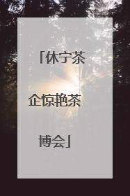 休宁茶企惊艳茶博会