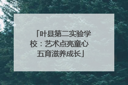 叶县第二实验学校：艺术点亮童心 五育滋养成长