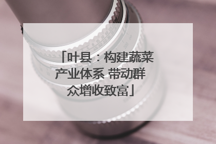 叶县：构建蔬菜产业体系 带动群众增收致富