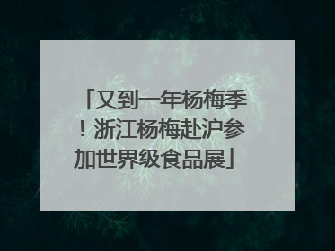 又到一年杨梅季！浙江杨梅赴沪参加世界级食品展