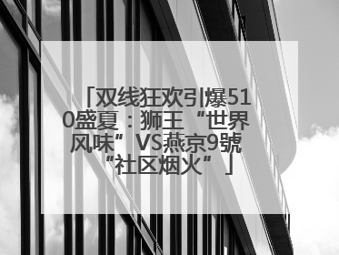 双线狂欢引爆510盛夏：狮王“世界风味”VS燕京9號“社区烟火”