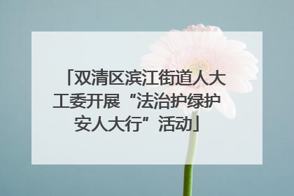 双清区滨江街道人大工委开展“法治护绿护安人大行”活动