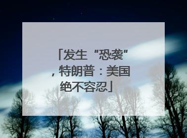 发生“恐袭”，特朗普：美国绝不容忍
