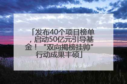 发布40个项目榜单，启动50亿元引导基金！“双向揭榜挂帅”行动成果丰硕