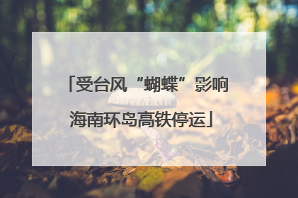 受台风“蝴蝶”影响 海南环岛高铁停运