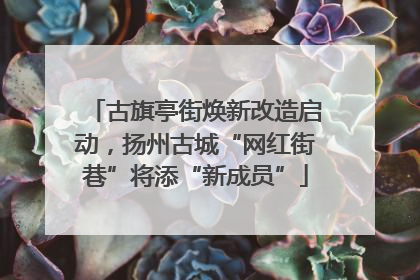 古旗亭街焕新改造启动，扬州古城“网红街巷”将添“新成员”