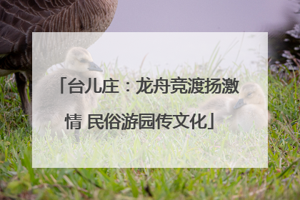 台儿庄：龙舟竞渡扬激情 民俗游园传文化