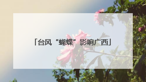 台风“蝴蝶”影响广西
