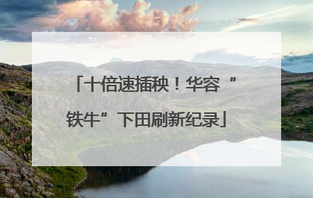 十倍速插秧！华容“铁牛”下田刷新纪录