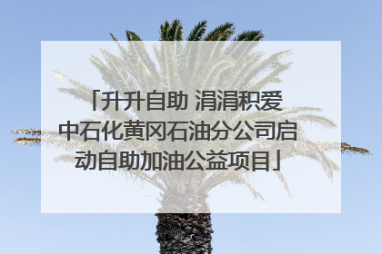 升升自助 涓涓积爱 中石化黄冈石油分公司启动自助加油公益项目
