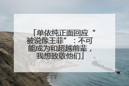 单依纯正面回应“被说像王菲”：不可能成为和超越前辈，我想致敬他们