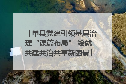 单县党建引领基层治理“谋篇布局” 绘就共建共治共享新图景