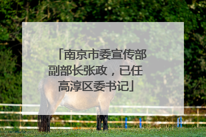 南京市委宣传部副部长张政，已任高淳区委书记