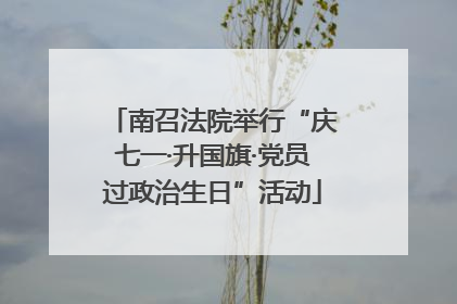 南召法院举行“庆七一·升国旗·党员过政治生日”活动