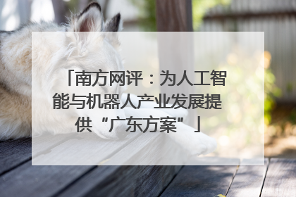南方网评：为人工智能与机器人产业发展提供“广东方案”