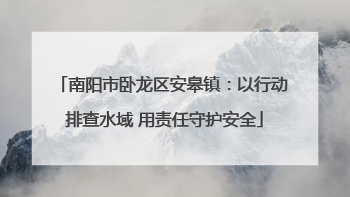 南阳市卧龙区安皋镇：以行动排查水域 用责任守护安全