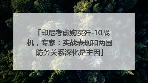 印尼考虑购买歼-10战机，专家：实战表现和两国防务关系深化是主因