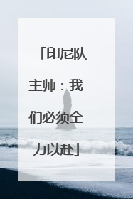 印尼队主帅：我们必须全力以赴