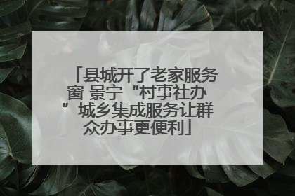 县城开了老家服务窗 景宁“村事社办”城乡集成服务让群众办事更便利