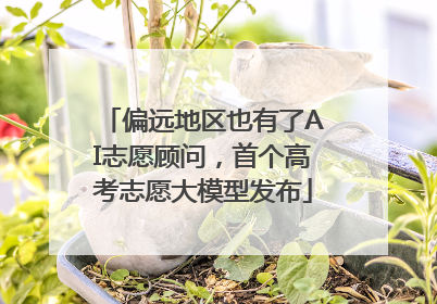 偏远地区也有了AI志愿顾问，首个高考志愿大模型发布