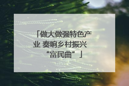 做大做强特色产业 奏响乡村振兴“富民曲”