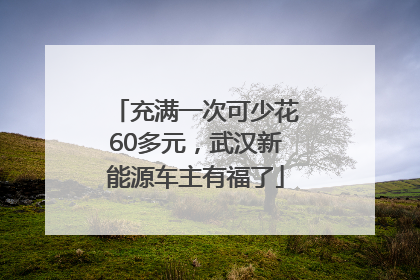 充满一次可少花60多元，武汉新能源车主有福了