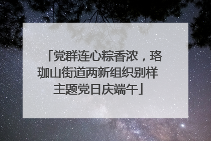 党群连心粽香浓，珞珈山街道两新组织别样主题党日庆端午