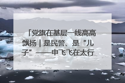 党旗在基层一线高高飘扬｜是民警、是“儿子”——申飞飞在太行山中的一线坚守
